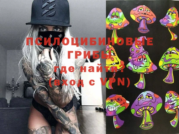 первитин Алексеевка